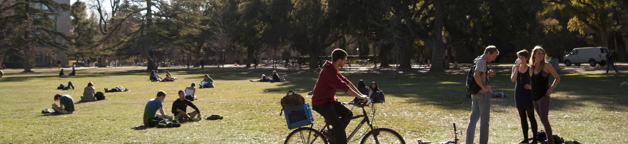 Several students biking and walking along the Quad.