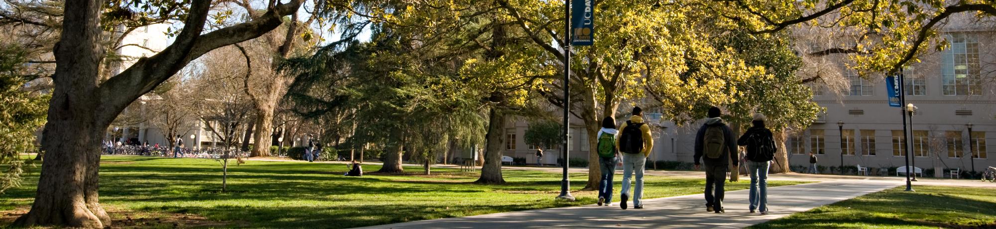 Students walk across the grassy UC Davis Quad